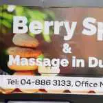 SPA and massage center Berry photo 1