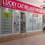 center Lucky Cat Relaxation photo 1