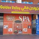 tan center Golden Valley photo 1